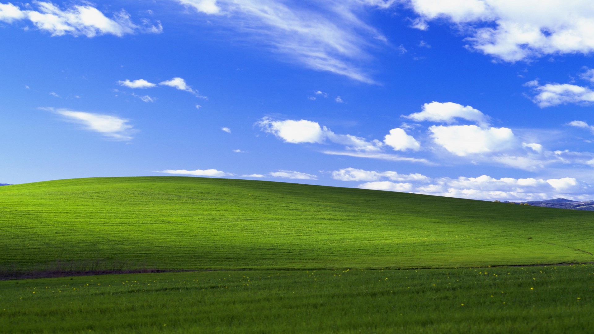 Windows XP Bliss Wallpaper : Microsoft : Free Download, Borrow, and Streaming : Internet Archive