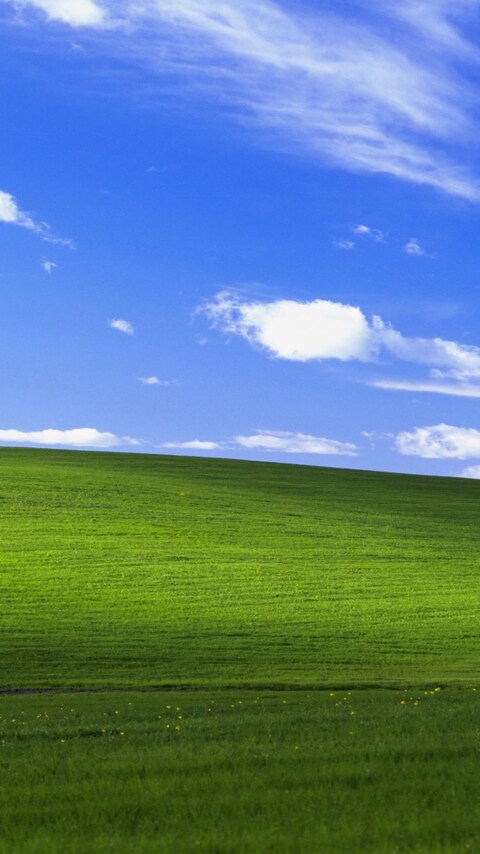 480x854 Windows Xp Bliss 4k Android One HD 4k Wallpapers, Images, Backgrounds, Photos and Pictures