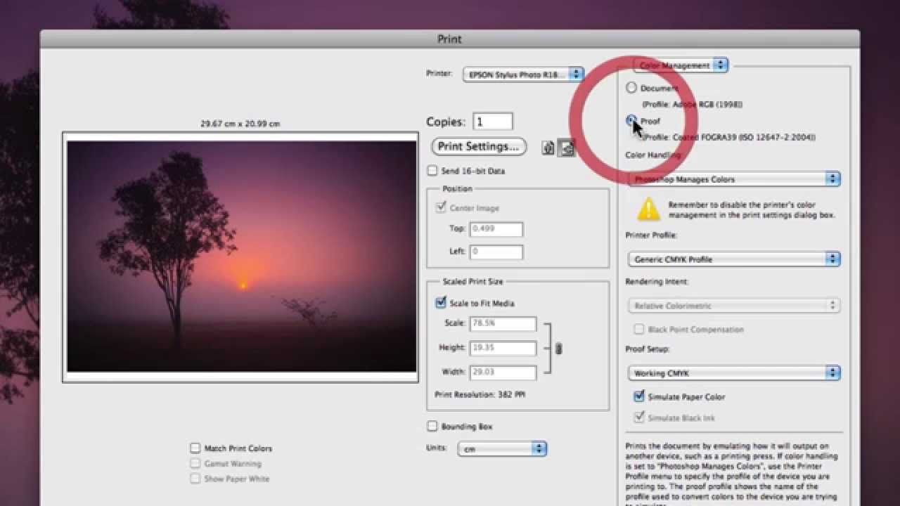 How To Configure Photoshop Printing Settings - YouTube