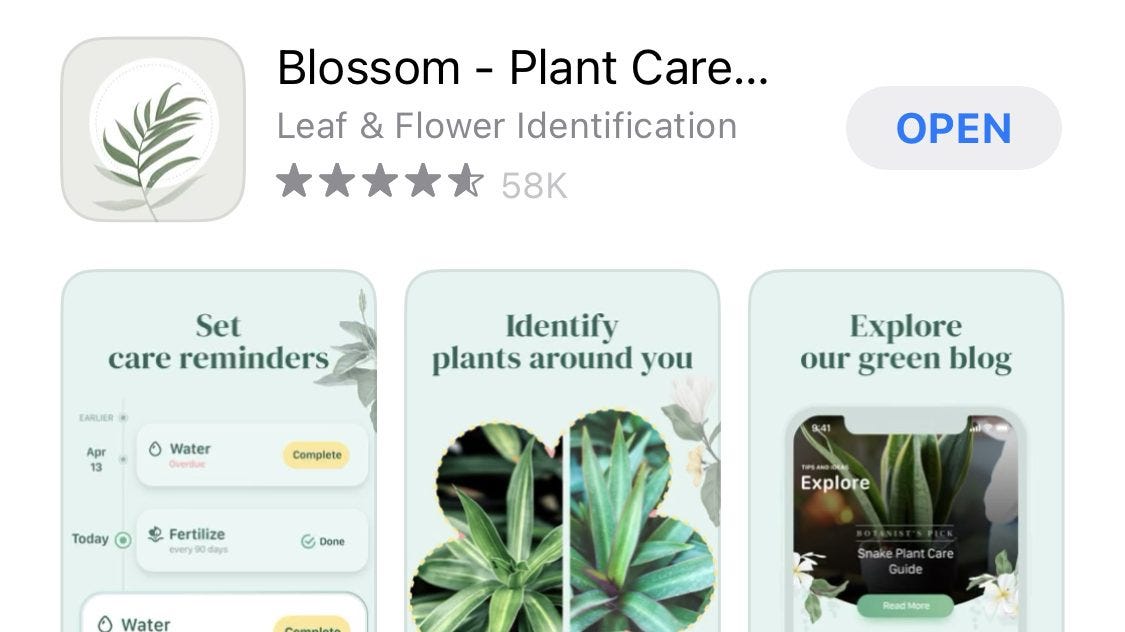 How Blossom App Used Behavioral Design to Become One of the Best Plant Care Apps | by Keith Shields w/ Designli | Medium