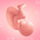 Pregnancy Tracker MOD APK 3.94.0 (Gold Unlocked)