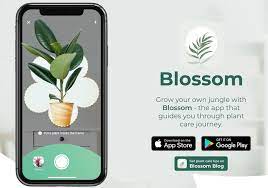 Identify Plants with Ease: Blossom App for Android
