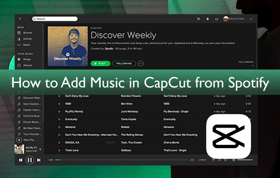 How to Add Music to Capcut from Spotify on Computer/Phone